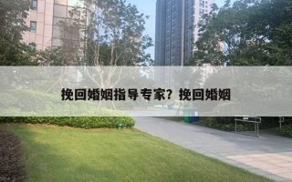 挽回婚姻指導(dǎo)專家？挽回婚姻