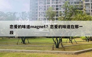 戀愛的味道m(xù)agnet？戀愛的味道在那一段