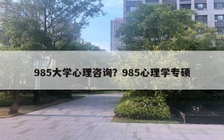 985大學(xué)心理咨詢？985心理學(xué)專碩